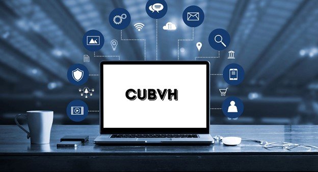 Discover CUBVH: Understanding and Guide 2024