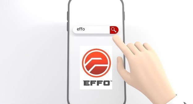 Exploring the Multifaceted World of EFFO