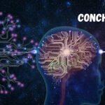 How Conch AI Can Change Company Activities? Ultimate Guide
