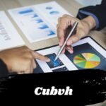 Cubvh: The­ Key to Better Digital De­signs for Users