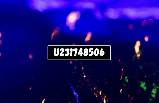 U231748506: Everything You Need to Know in 2024