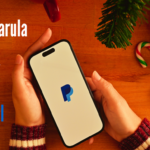 Prince Narula's Digital Strategies with PayPal: An Inside Look