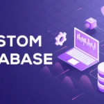 Custom Database