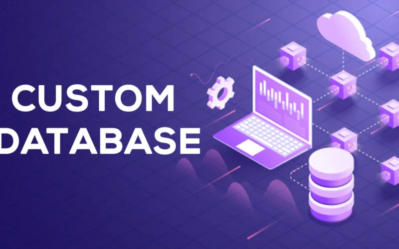 Custom Database