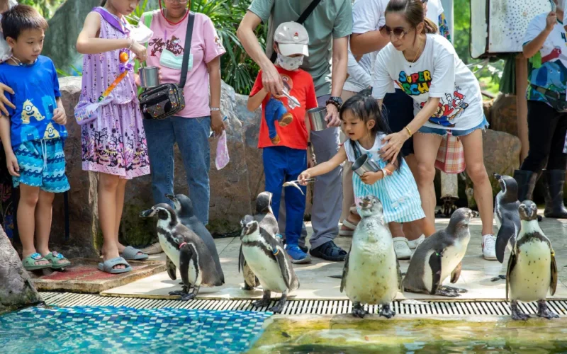 Phuket Happiness Trips Turtle Village: Explore, Shop, Dine, and Have Fun in Paradise