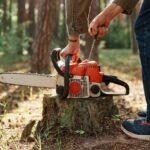 How to Pick the Best Forestry Equipment for Your Project