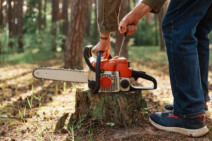 How to Pick the Best Forestry Equipment for Your Project